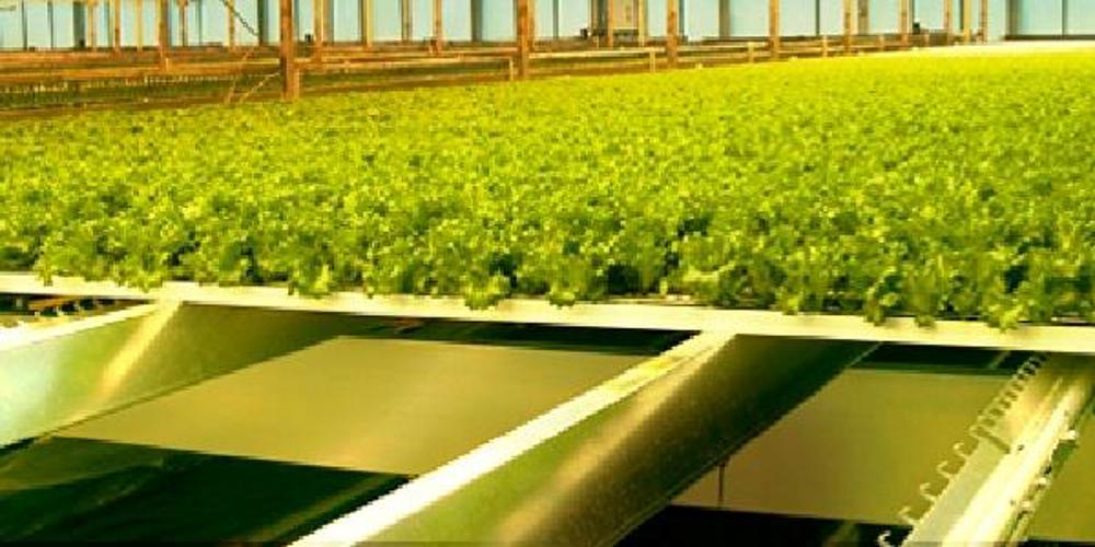 Profiles and gutters for lettuce growing